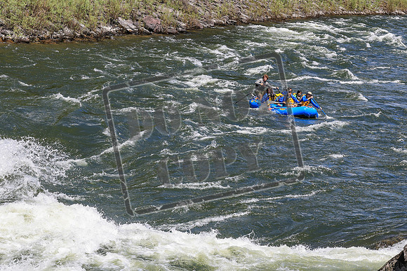 20260622-IMG_4559