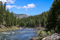 Raft 4