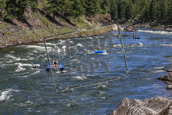 20260622-IMG_4518
