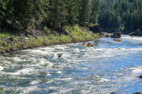 20260622-IMG_3951