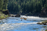 20260622-IMG_3949