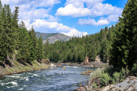 Raft 4
