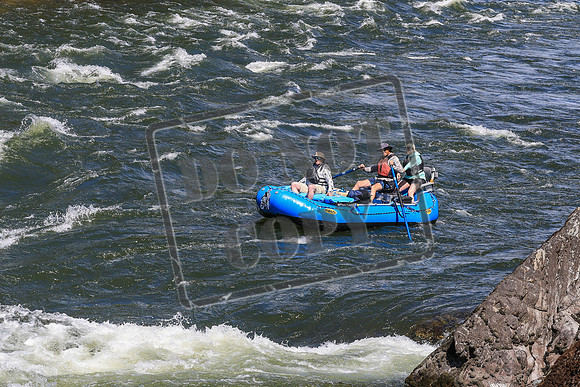 20260622-IMG_4635