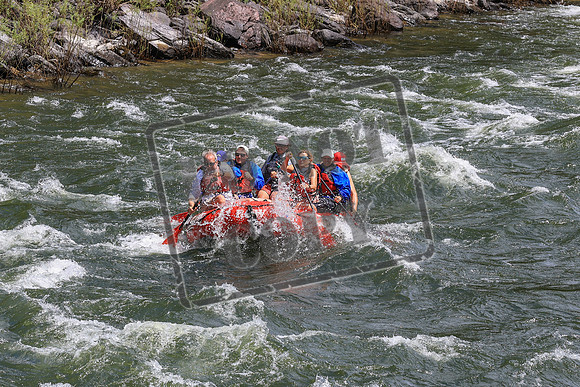 20260622-IMG_4352