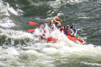 20260622-IMG_4440