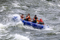20260622-IMG_4239