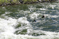 20260623-IMG_4901