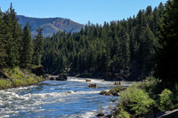 20260623-IMG_4792