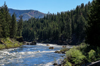 20260623-IMG_4791