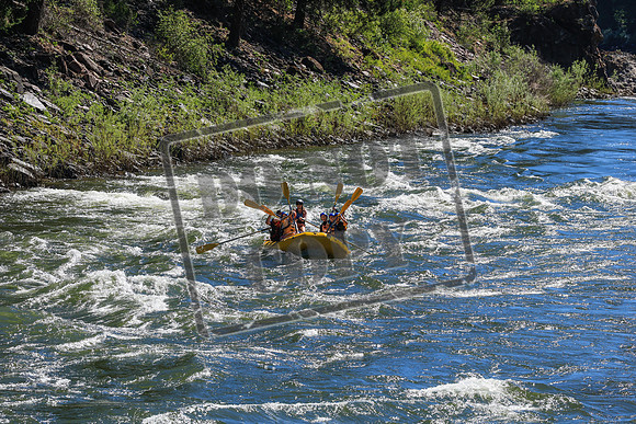 20260623-IMG_4858