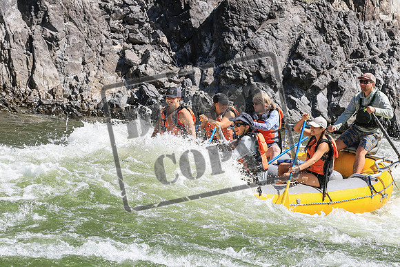 20250809-IMG_7339