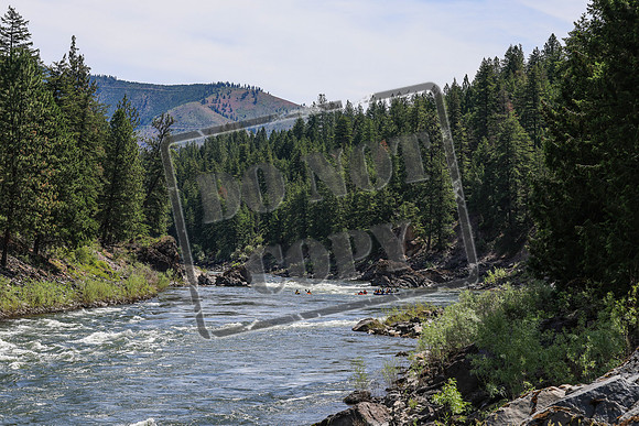 20260624-IMG_6512