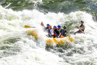 20260624-IMG_6011