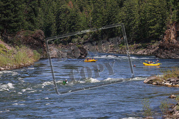 20260624-IMG_7011
