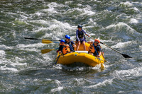 20260624-IMG_6423
