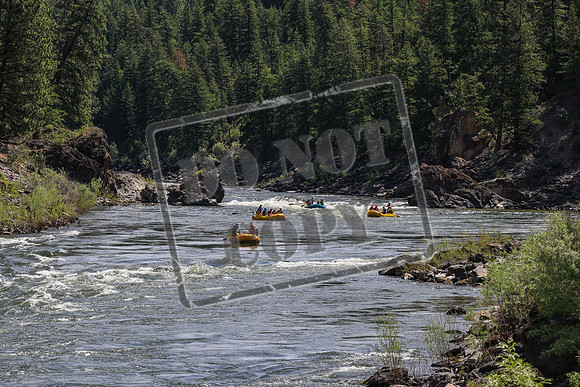 20260624-IMG_6382
