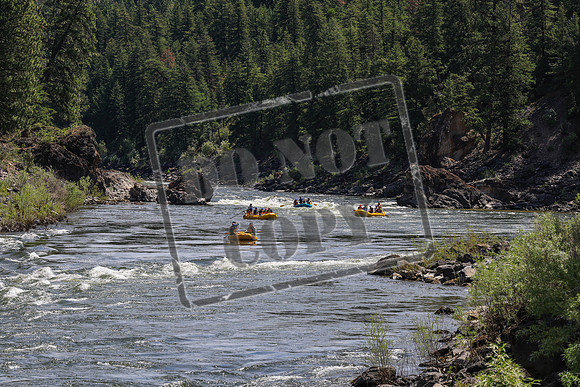 20260624-IMG_6380
