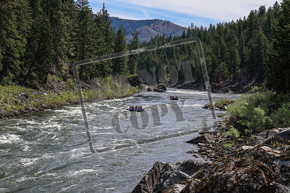20260624-IMG_6299