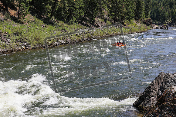 20260624-IMG_6652