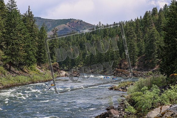 20260625-IMG_7818