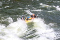 20260625-IMG_8642