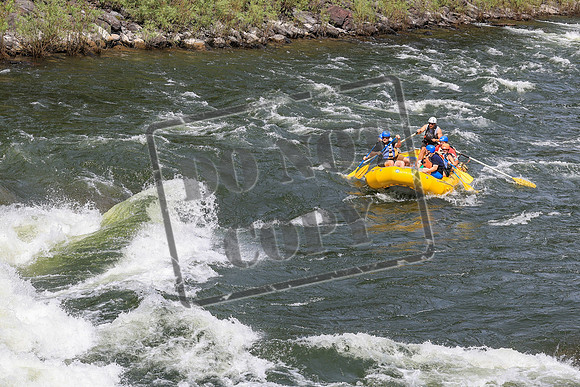 20260625-IMG_8733