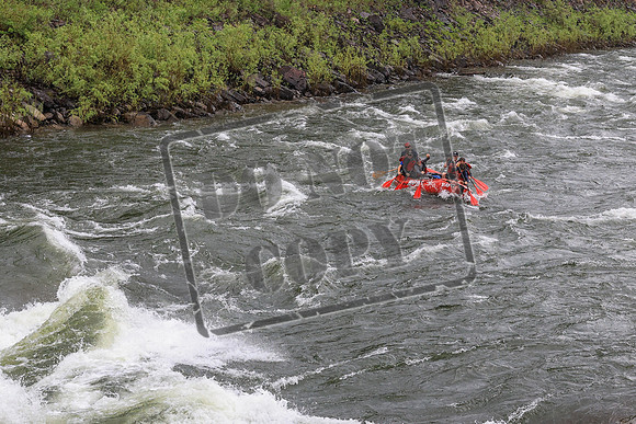 20260625-IMG_7699