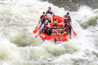 20260625-IMG_7766