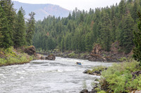 20260626-IMG_8992