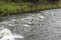 20260626-IMG_9593