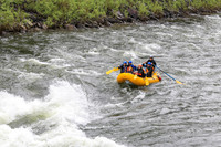 20260626-IMG_9218