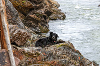 20260627-IMG_0278