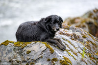 20260628-IMG_2035