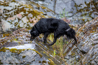 20260628-IMG_2021