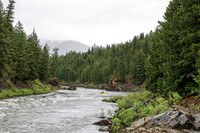 20260629-IMG_2604