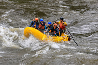 20260630-IMG_3246