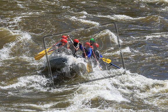 20260701-IMG_3945
