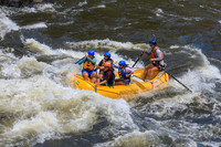 20260701-IMG_4449
