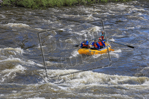 20260701-IMG_4157
