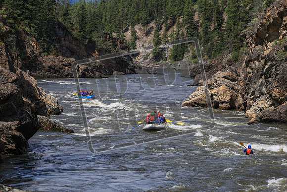 20260702-IMG_5018