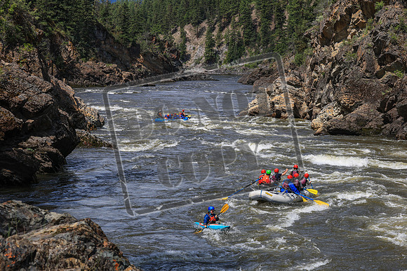 20260702-IMG_5014