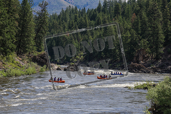 20260702-IMG_5141
