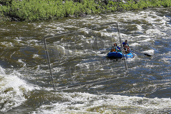 20260703-IMG_6541