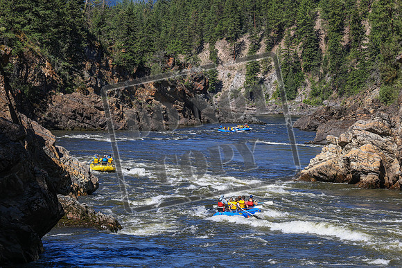 20260703-IMG_6652