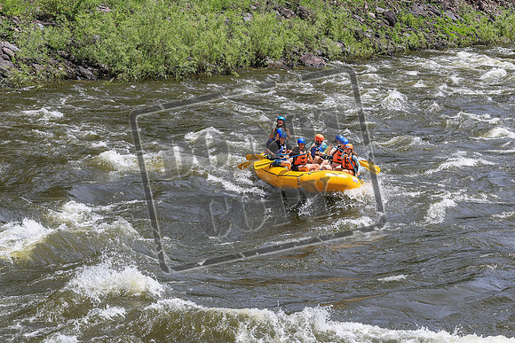 20260703-IMG_7276