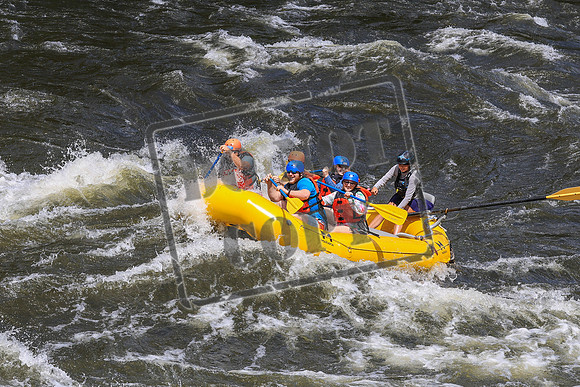 20260703-IMG_8150