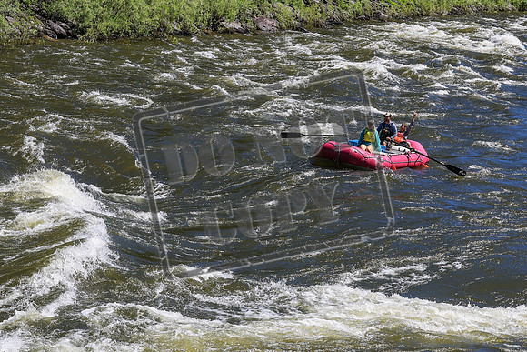 20260704-IMG_9709