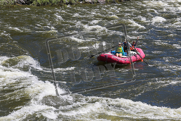 20260704-IMG_9710