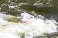 20260704-IMG_9469