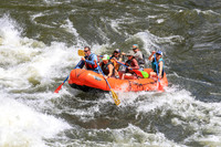 20260704-IMG_0647
